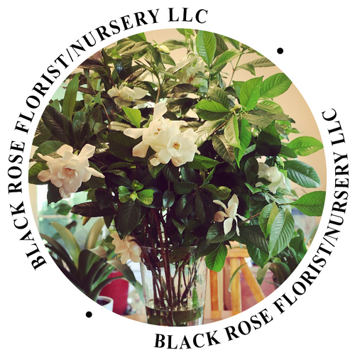 Black Rose Florist / Nursery LLC