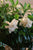 Gardenias