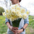 Daffodil (Ice King)