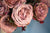 Flowers (Dusty Rose)